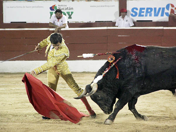 Tirando del ejemplar