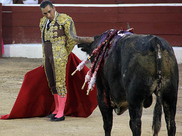 Descifrando el enigma