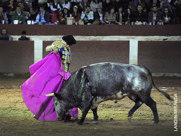 Chicuelinas en los medios