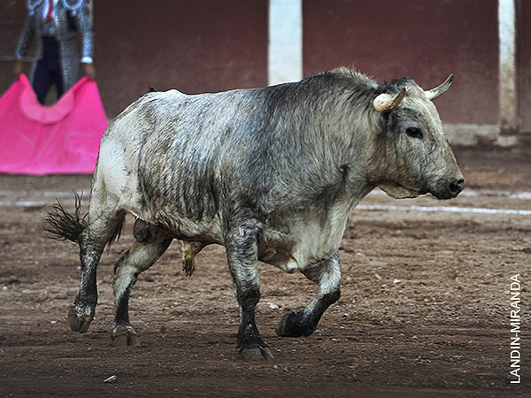 Con cuajo, los de Xalmonto