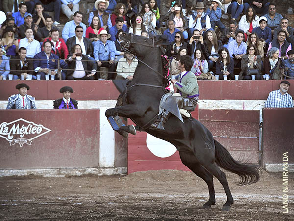 Jaca y jinete conjugados