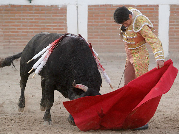 Tray�ndolo en el vuelo