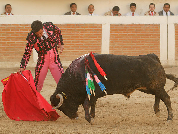 Saboreando la embestida