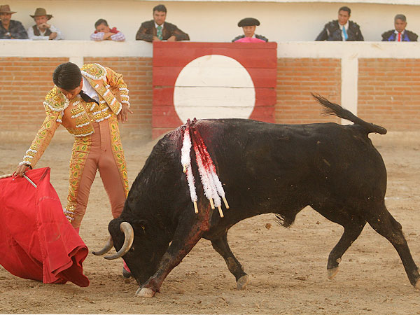 Solvente tauromaqu�a