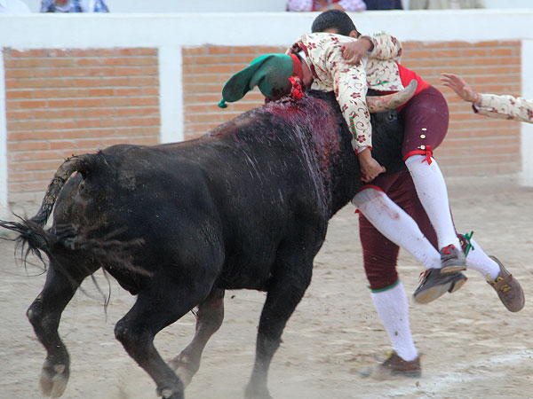 Forcados Amadores de Puebla