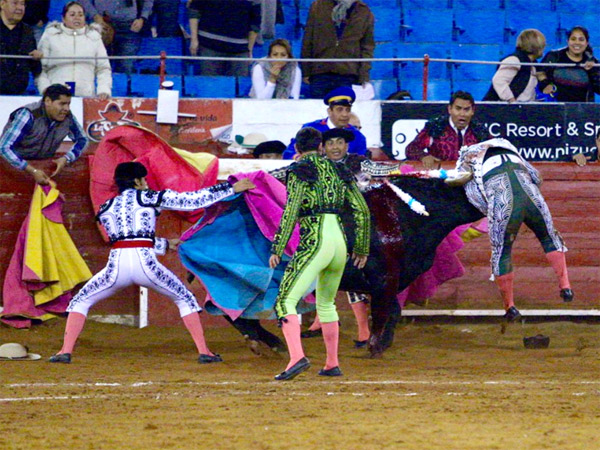 As� lo prendi� (Foto: Tauroagencia)