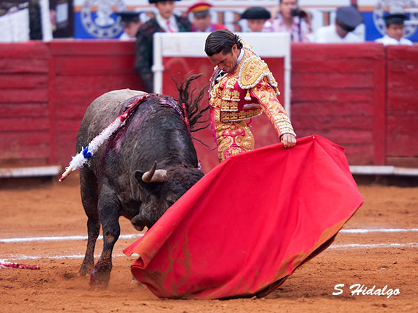 Fabi�n Barba, madurez