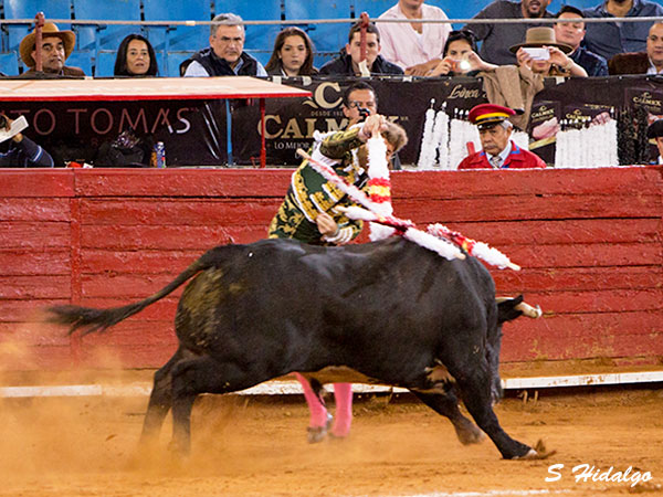 Espectacular par de Escribano