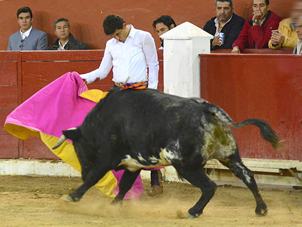 Ver�nicas norte�as