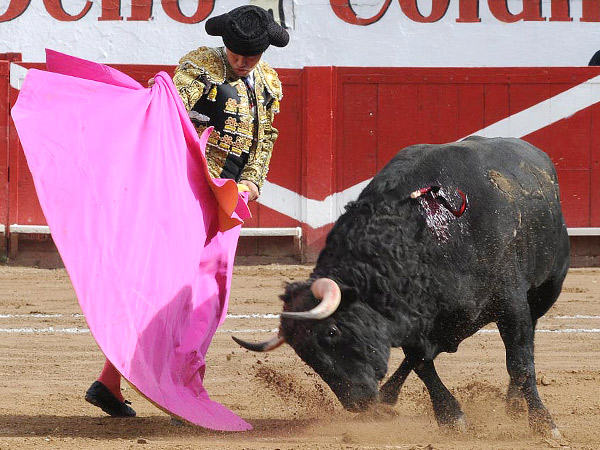 Recogiendo la embestida