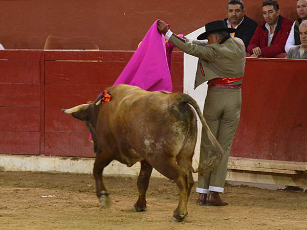 Saludos al casta�o