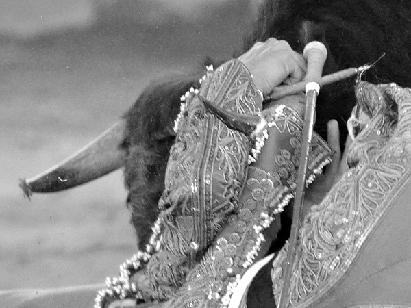 Atraves� la chaquetilla