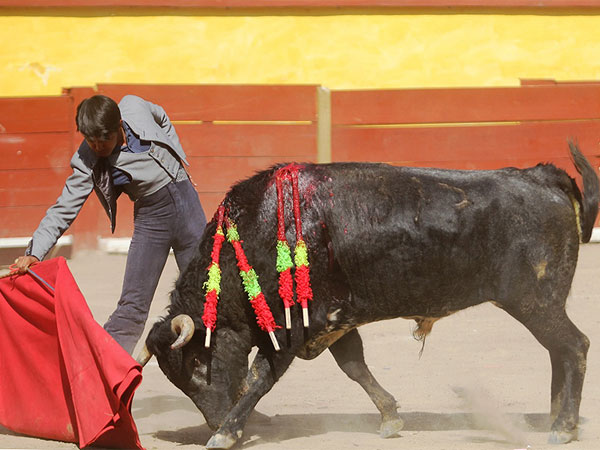 Trazo extraordinario