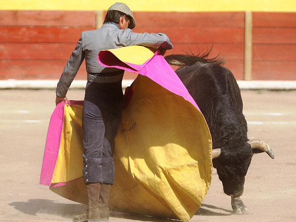 Un Toro de Felipe Gonz�lez