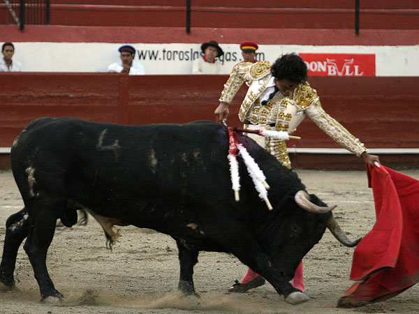 Se levant� a triunfar