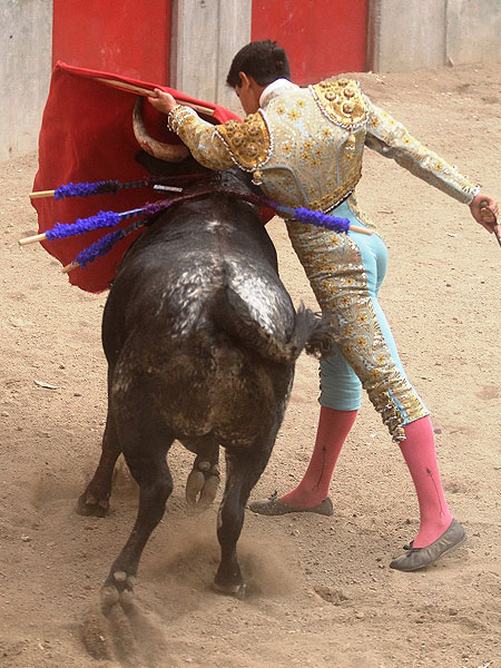 Pas�ndose todo el toro