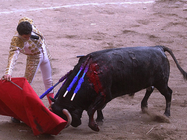 Un torero cl�sico