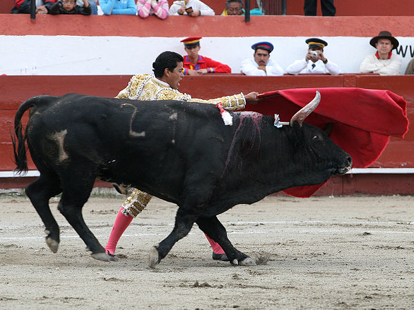 Pas�ndose todo el toro