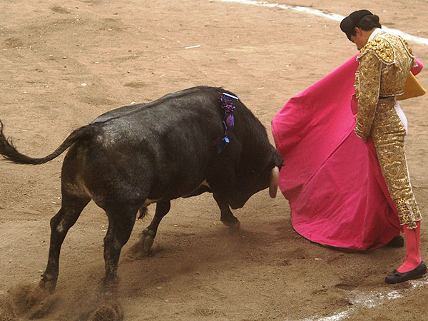 Cadencia de H�ctor Gabriel