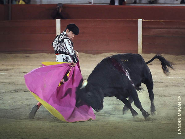 Lalo Romero, invitado a un quite