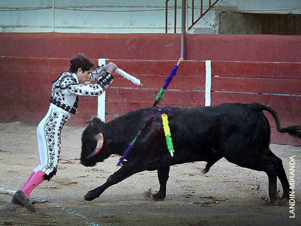 Jaleado en rehiletes