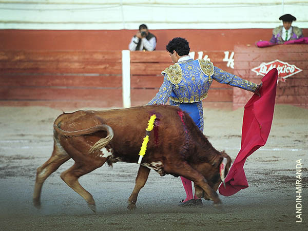 Emoci�n en el pr�logo