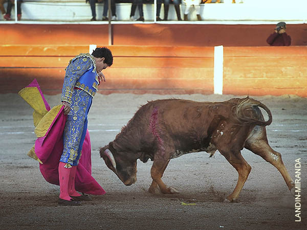 Remate de Rom�n Legorreta