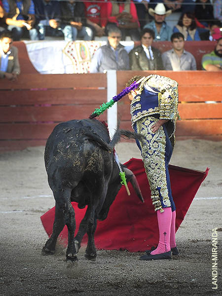 Llev�ndolo toreado