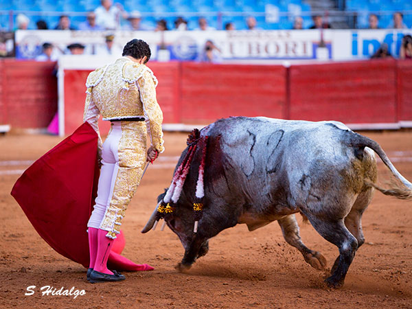 Indiscutible calidad