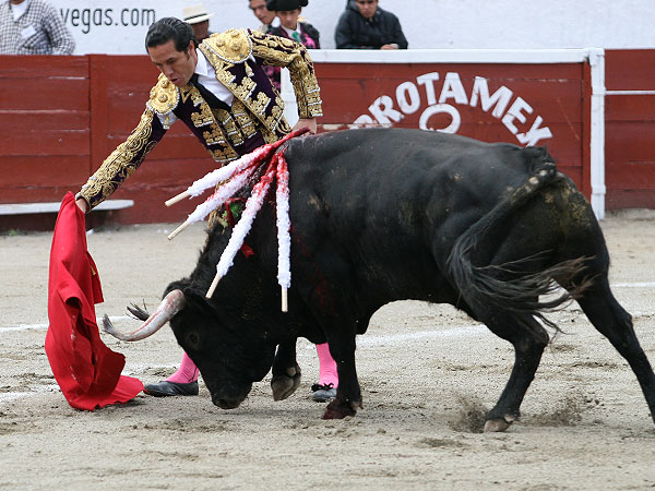Pocas opciones para el Conde