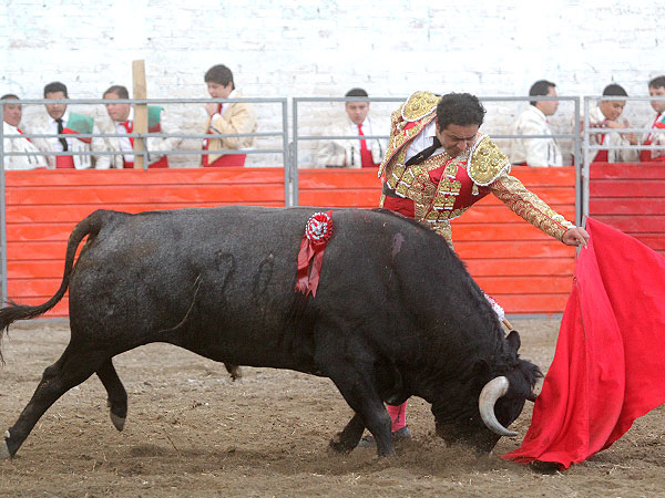 Un torero en plenitud