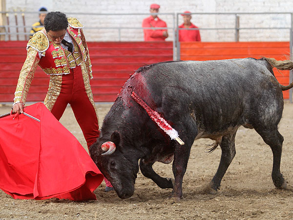 Un cl�sico del toreo