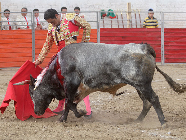 Zotoluca apostando por la calidad
