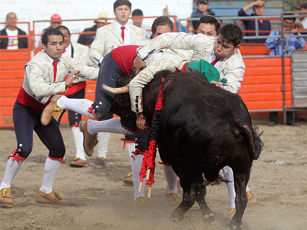 Los Forcados de Hidalgo