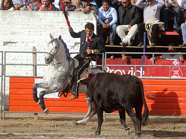 Luis Pimentel encelando