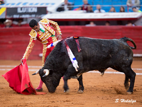 Templando la embestida