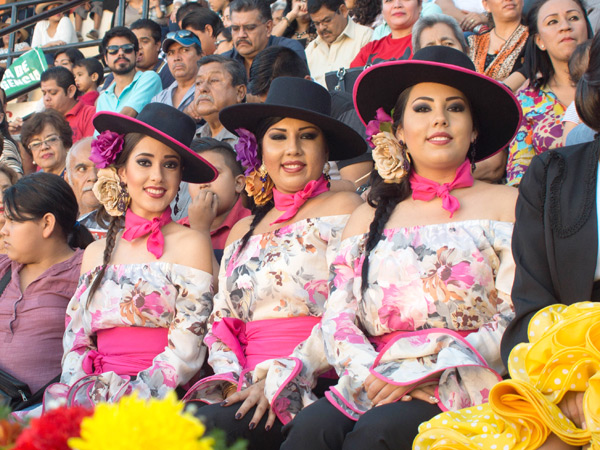 Engalanando el tendido