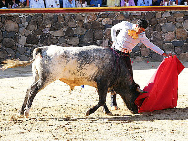 Tersura al natural de Nacho