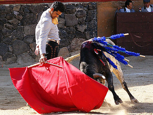 Enorme con la muleta