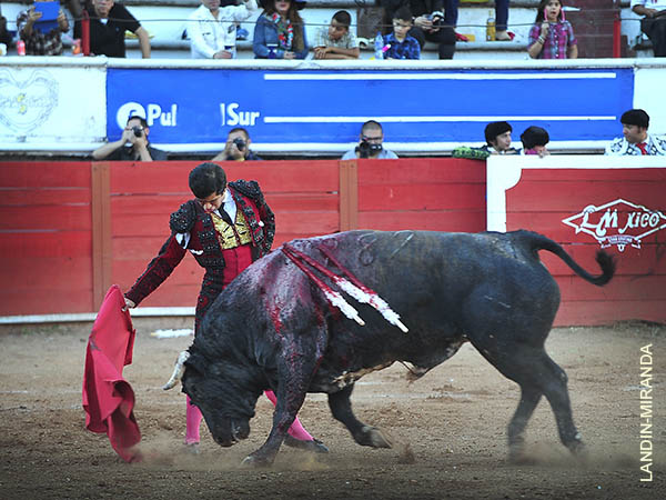 Busc hacerse de las embestidas