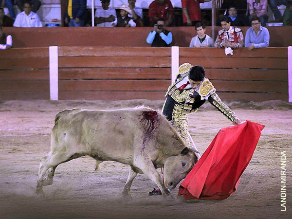 Sentimiento al natural