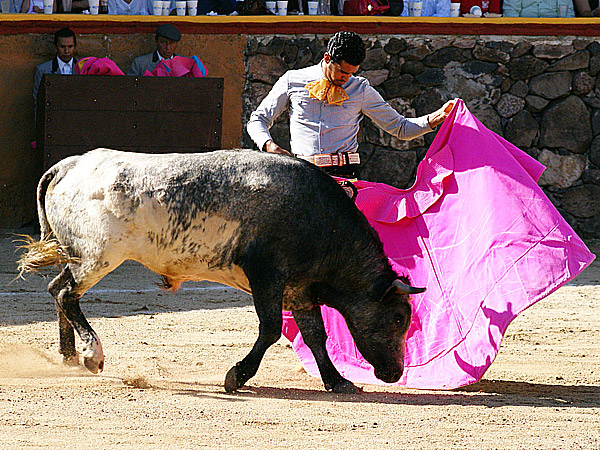Mecido Garibay a la ver�nica