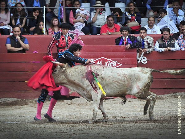 Lucido en la suerte suprema