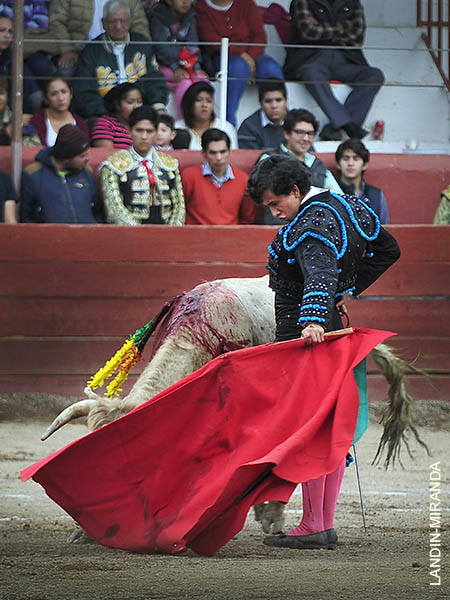 La verticalidad de Rafa