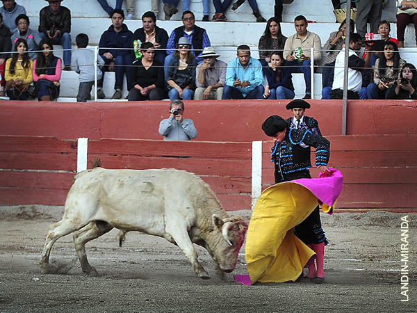 Rafael Reynoso a la ver�nica