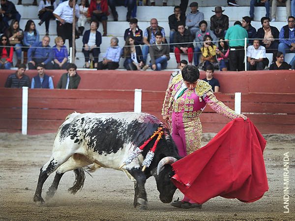 La faena al berrendo