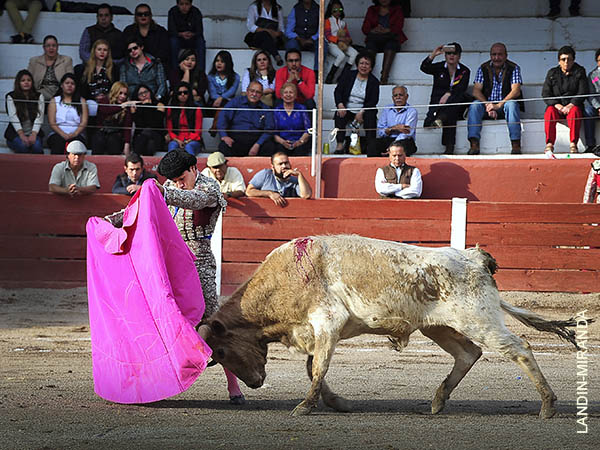 Variedad en su repertorio