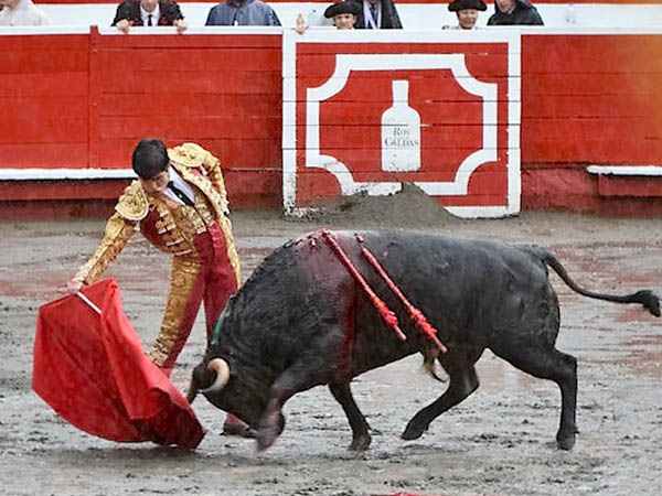 Busc� hacerle fiesta