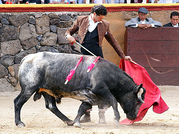 Un brote de inspiraci�n