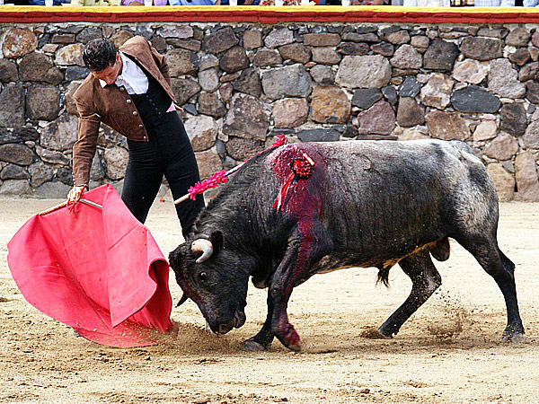 Aqu� est� Fernando Ochoa